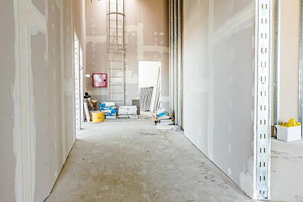 Best Basement Mold Removal  in Thornville, OH